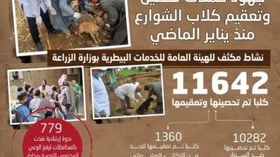 "الزراعة" تحصن أكثر من 11 ألف كلب حر وتنفذ 779 ندوة توعوية