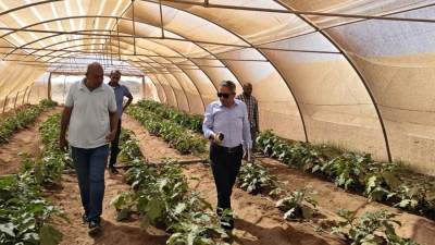 بحوث الصحراء يبدأ نشر تقنية الصوب الزراعية بحلايب وشلاتين