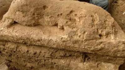 اكتشاف مبني من الحجر الجيري يعود لـ"معبد الملك أبريس" بميت رهينة 