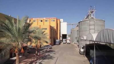 أرباح "العامة للصوامع" تقفز إلى 153 مليون جنيه في 6 أشهر