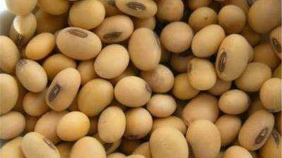 زيت الصويا يقفز إلى أعلى مستوى في عامين