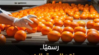 الزراعة فتح أسواق تصديرية جديدة للفاكهة المصرية بالقارة اللاتينية