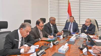 الحكومة تدرس إنشاء كيان متخصص لمساندة الاستثمارات المصرية بأفريقيا 