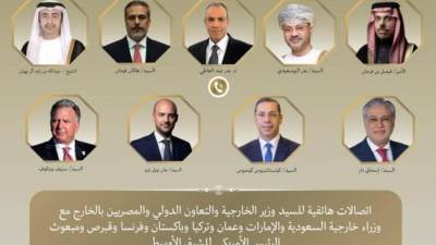 مصر تواصل اتصالاتها مع 8 دول لاحتواء التصعيد بالمنطقة 