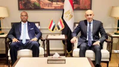 وزير التربية والتعليم ونظيره السوداني يبحثان تعزيز التعاون المشترك