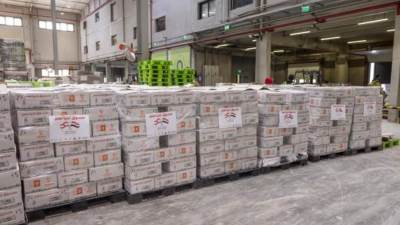 مصر تُرسل ١٠٠٠ طن من المساعدات الإغاثية العاجلة إلى لبنان