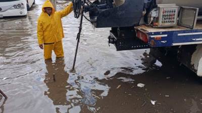 جهاز حدائق أكتوبر يرفع حالة التأهب القصوى بمختلف أنحاء المدينة