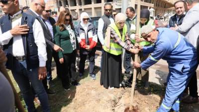 "الإسكندرية" تزيد المساحات الخضراء بزراعة 9460 شجرة جديدة