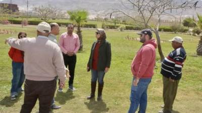 جهاز السويس الجديدة: زراعة 3500 شجرة ضمن المبادرات القومية