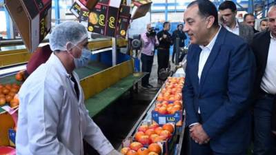 20 مليون دولار قيمة صادرات "محطة الصواف" لتعبئة الموالح والحاصلات الزراعية ببنها 