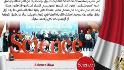 اكتشاف نوع جديد من "القردة العليا" في مصر يعود للعصر الميوسيني المبكر