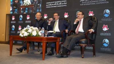 وزير الزراعة: نستهدف 10 ملايين رأس ماشية عالية الإنتاجية بحلول 2029