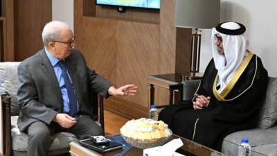 نائب رئيس الوزراء للشئون الاقتصادية يلتقي سفير دولة الإمارات لدى القاهرة