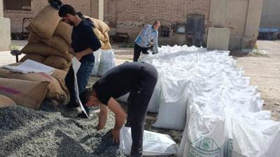 "الزراعة": تجهيز 15 ألف شيكارة قطن من تقاوي المزارع المعاونة