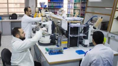 الزراعة: تحليل 111 ألف عينة غذائية خلال الربع الأول من 2026