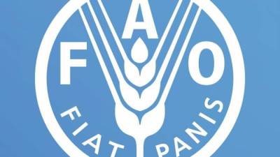 "الفاو" توصي بالتوسع في الطاقة الشمسية والأسمدة الحيوية والبدائل الآمنة للمبيدات