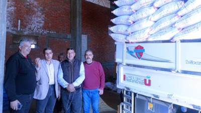 "الزراعة:  ضبط كميات كبيرة من تقاوي الأرز غير المعتمدة بكفر الشيخ