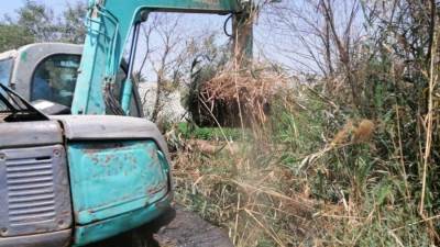 "الزراعة" تواصل دعم المزارعين وتطوير خدمات الري