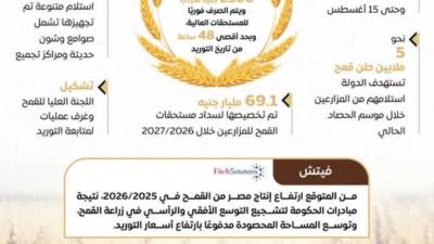 "الحكومة" تستعد لموسم توريد القمح 2026 بخطة شاملة وتيسيرات للمزارعين