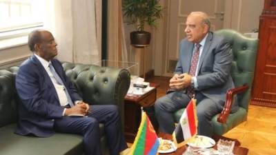 وزير الكهرباء يبحث مع "إريتريا" التعاون في الطاقة المتجددة وإقامة محطتي طاقة شمسية