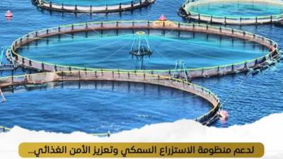 بإنتاجية متميزة.. مزارع "المنزلة وبرسيق" تحصد 71 طن أسماك