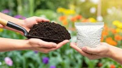 بنمو13%.. ارتفاع أرباح "شركات الأسمدة" إلى 5.67 مليار جنيه