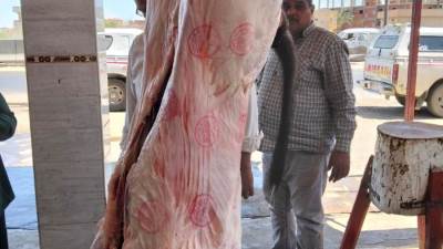 "الزراعة": حملات رقابية موسعة بالمحافظات لمواجهة ذبح "البتلو" خارج المجازر