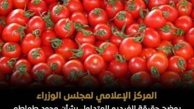 نقص التسميد وليس رش مواد ضارة.. "الحكومة" توضح حقيقة طماطم «الإثيريل»