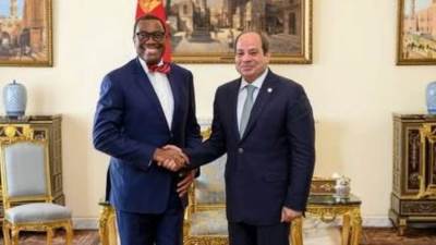 السيسي لـ"رئيس بنك التنمية الأفريقي": خبرات الشركات المصرية جاهزة لمشروعات البنية الأساسية العابرة للحدود 