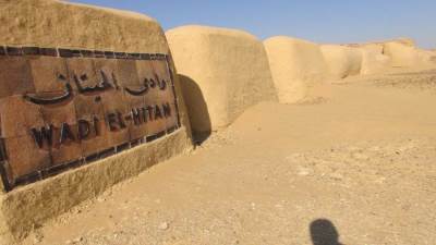 "مصر" تجدد إدراج وادي الحيتان بالقائمة الخضراء للاتحاد الدولي لحماية الطبيعة حتى 2031