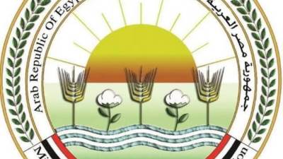 الزراعة: تحصين 2.4 مليون رأس ماشية ضد حملة الحمى القلاعية والوادي المتصدع
