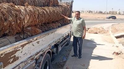 رئيس جهاز مدينة الشروق: توريد 6000 شجرة ونخلة وزهرة لزيادة المسطحات الخضراء