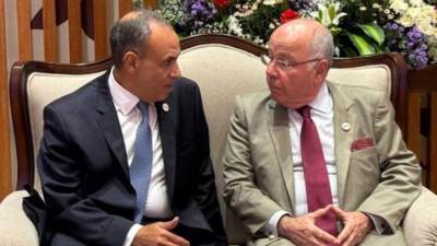 تعاون مصري برازيلي لإنشاء مركز لوجستي لصوامع تخزين الغلال