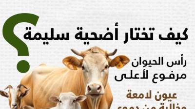 20 توصية من وزارة الزراعة لاختيار الأضحية واللحوم السليمة (إنفوجراف)