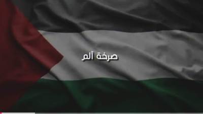 محمد المحلاوي وأحمد كاريكا يطلقان "صرخة ألم.. يا فلسطين"