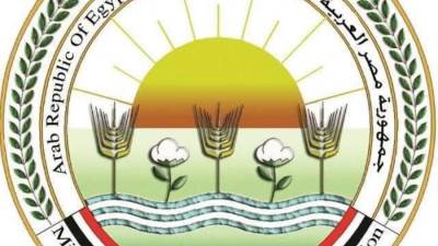وزارة الزراعة: 497 مجزرا حكوميا جاهزا لاستقبال الأضاحي من المواطنين بالمجان 
