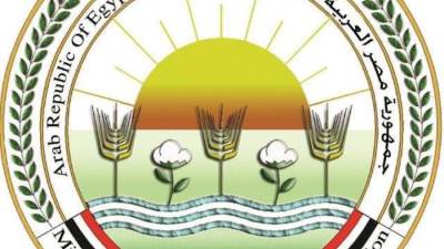 د.حامد الأقنص: إنتاج 3700 طن من منتجات التدوير من المجازر المعتمدة بالمحافظات