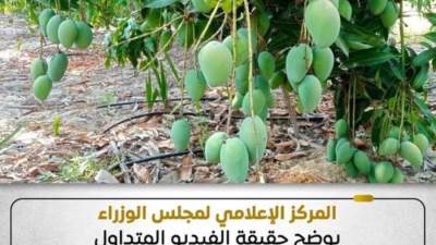 تركيزات محددة ورقابة دورية.. "الحكومة" توضح حقيقة استخدام مواد كيميائية لنضج الفاكهة