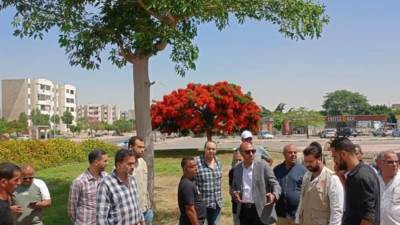 المهندس محمد زكريا يتفقد أعمال تشجير مدينة الشروق