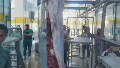بتكلفة ٢٧ مليون جنيه.. بدء التشغيل التجريبي لمجزر قلمشاة بمحافظة الفيوم