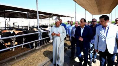 «مدبولي»: الحكومة مستمرة في تقديم كافة التسهيلات اللوجستية للكيانات الإنتاجية الكبرى