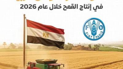 مصر الأولى عربيًا في إنتاج القمح خلال عام 2026