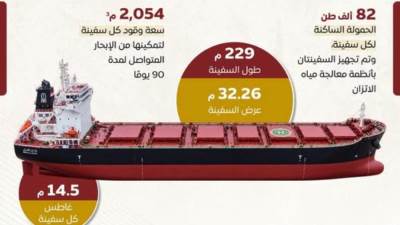 تعرف على مواصفات سفينتي الصب الجاف "وادي النيل" و"وادي القمر"