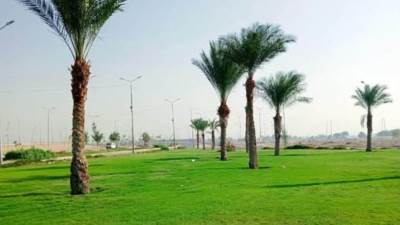 «الإسكان»: زراعة 48 ألف شجرة بمدينة سوهاج الجديدة