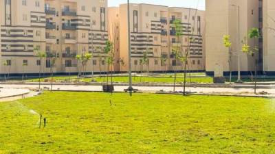 «الإسكان»: بدء زراعة 7 آلاف شجرة متنوعة بالسادات الجديدة