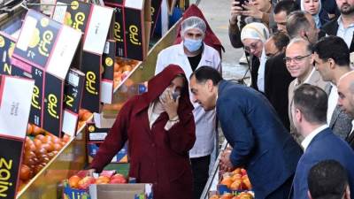 6.9 مليار دولار صادرات الصناعات الغذائية المصرية 
