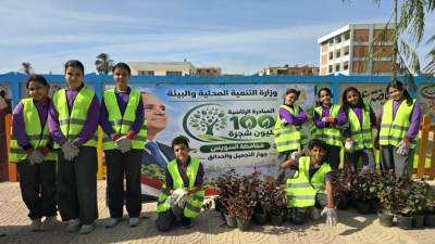 التنمية المحلية والبيئة: بدء توريد وزراعة 4800 شجرة لمحافظة السويس
