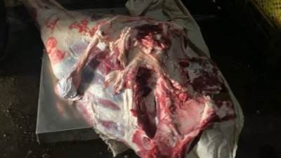 ضبط 241 كجم لحوم ودواجن فاسدة بحملات رقابية في أسيوط