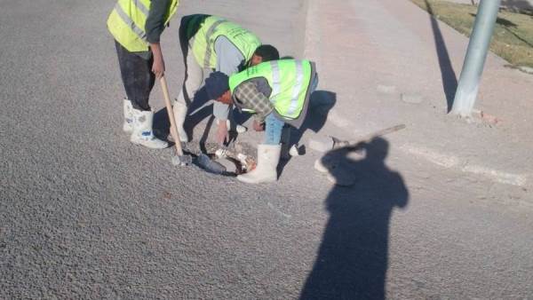 جهاز مدينة حدائق أكتوبر يرفع حالة التأهب القصوى لمواجهة التقلبات المناخية