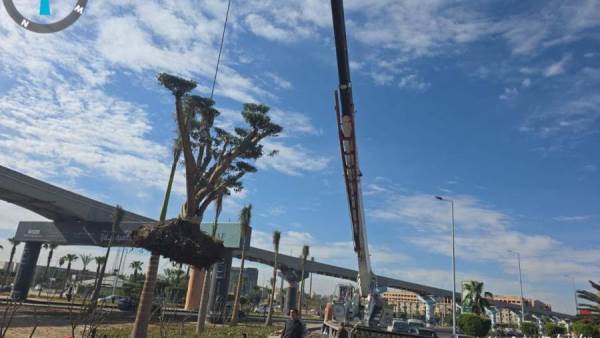  المهندس نادر زعفر: بدء أعمال رصف طريق "R5" وتشجير المحور الموازي بـ 6 أكتوبر